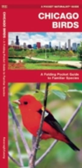 Chicago Birds