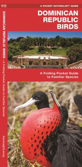 Dominican Republic Birds Dominican Republic Birds
