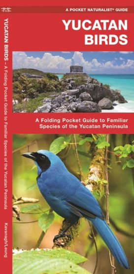 Yucatan Birds