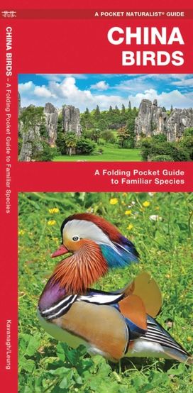 China Birds
