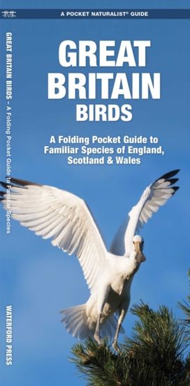 Great Britain Birds Great Britain Birds