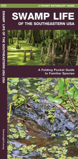 Swamp Life of the Southeastern Usa