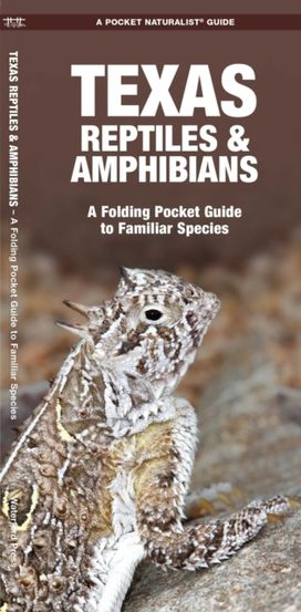 Texas Reptiles & Amphibians
