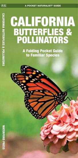 California Butterflies & Pollinators California Butterflies & Pollinators
