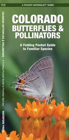Colorado Butterflies & Pollinators Colorado Butterflies & Pollinators