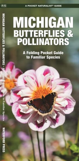 Michigan Butterflies & Pollinators Michigan Butterflies & Pollinators