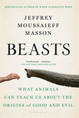 Beasts Beasts