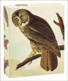 Audubon Owls QuickNotes Audubon Owls QuickNotes