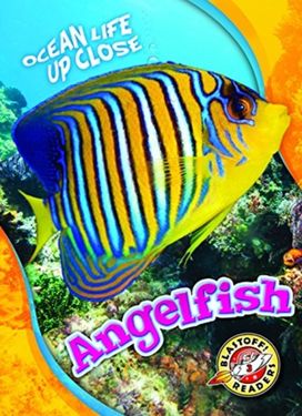 Angelfish Angelfish