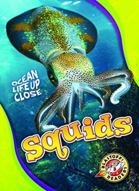 Squids Squids