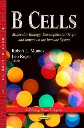 B Cells B Cells