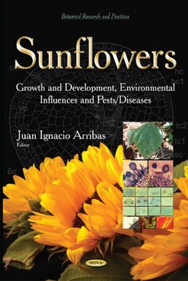 Sunflowers Sunflowers
