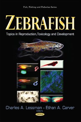 Zebrafish Zebrafish
