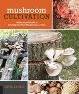 Mushroom Cultivation Mushroom Cultivation