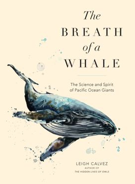 Breath of a Whale Breath of a Whale