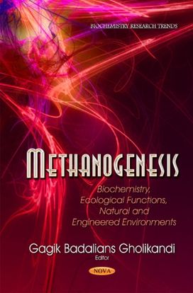 Methanogenesis Methanogenesis