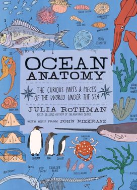 Ocean Anatomy Ocean Anatomy