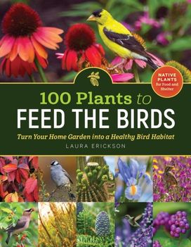 100 Plants to Feed the Birds 100 Plants to Feed the Birds