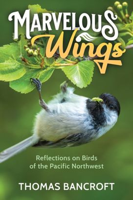 Marvelous Wings Marvelous Wings