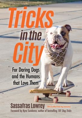 Tricks in the City Tricks in the City