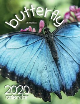 Butterfly 2020 Calendar (Uk Edition)