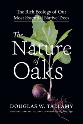 Nature of Oaks Nature of Oaks