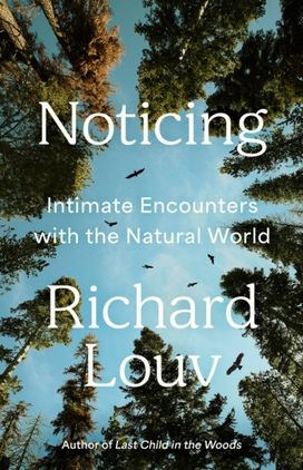 Noticing Noticing