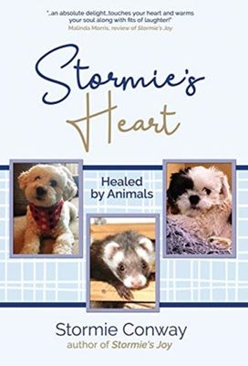 Stormie's Heart Stormie's Heart