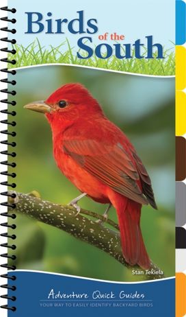 Birds of the South Birds of the South
