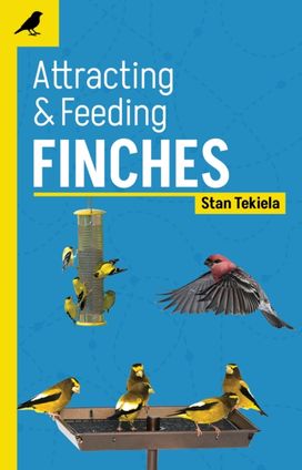 Attracting & Feeding Finches Attracting & Feeding Finches