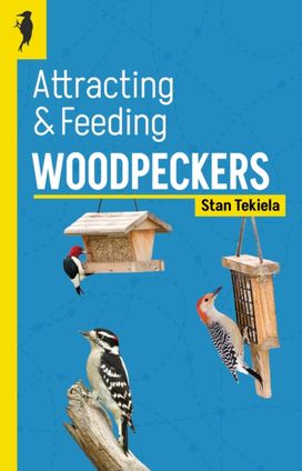 Attracting & Feeding Woodpeckers Attracting & Feeding Woodpeckers
