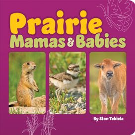 Prairie Mamas and Babies Prairie Mamas and Babies
