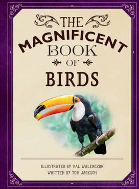 Magnificent Book of Birds Magnificent Book of Birds
