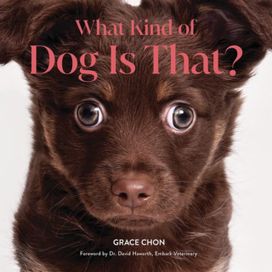 What Kind of Dog Is That?