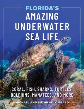 Florida's Amazing Underwater Sea Life Florida's Amazing Underwater Sea Life