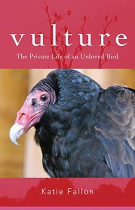 Vulture – The Private Life of an Unloved Bird Vulture – The Private Life of an Unloved Bird