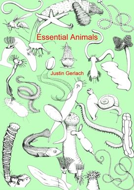 Essential Animals Essential Animals