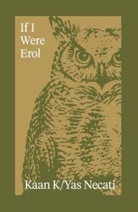 If I Were Erol If I Were Erol