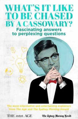 What’s it Like to be Chased by a Cassowary?