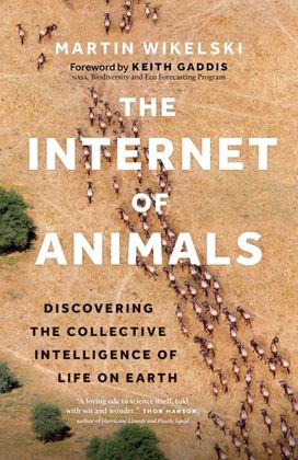 Internet of Animals