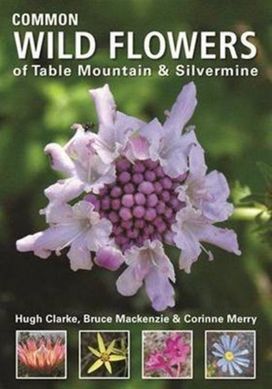 Common Wild Flowers of Table Mountain & Silvermine Common Wild Flowers of Table Mountain & Silvermine