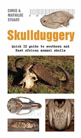 Skullduggery a Quick