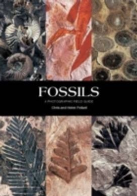 Fossils: a Photographic Field Guide
