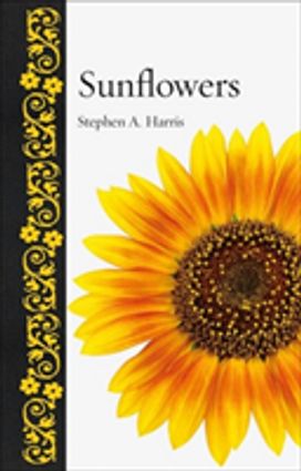Sunflowers Sunflowers