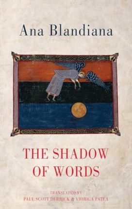 Shadow of Words Shadow of Words