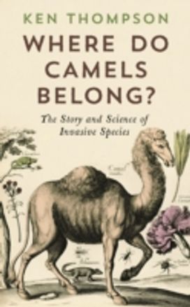 Where do Camels Belong? Where do Camels Belong?
