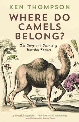 Where do Camels Belong? Where do Camels Belong?