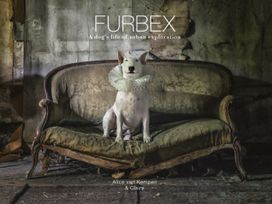 Furbex Furbex