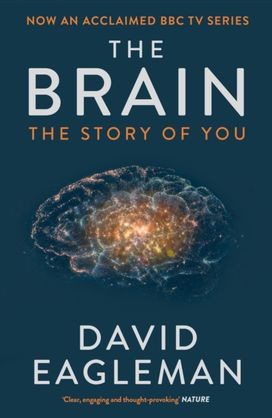 Brain