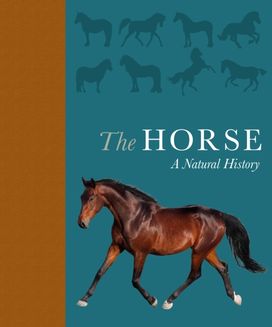 The Horse The Horse